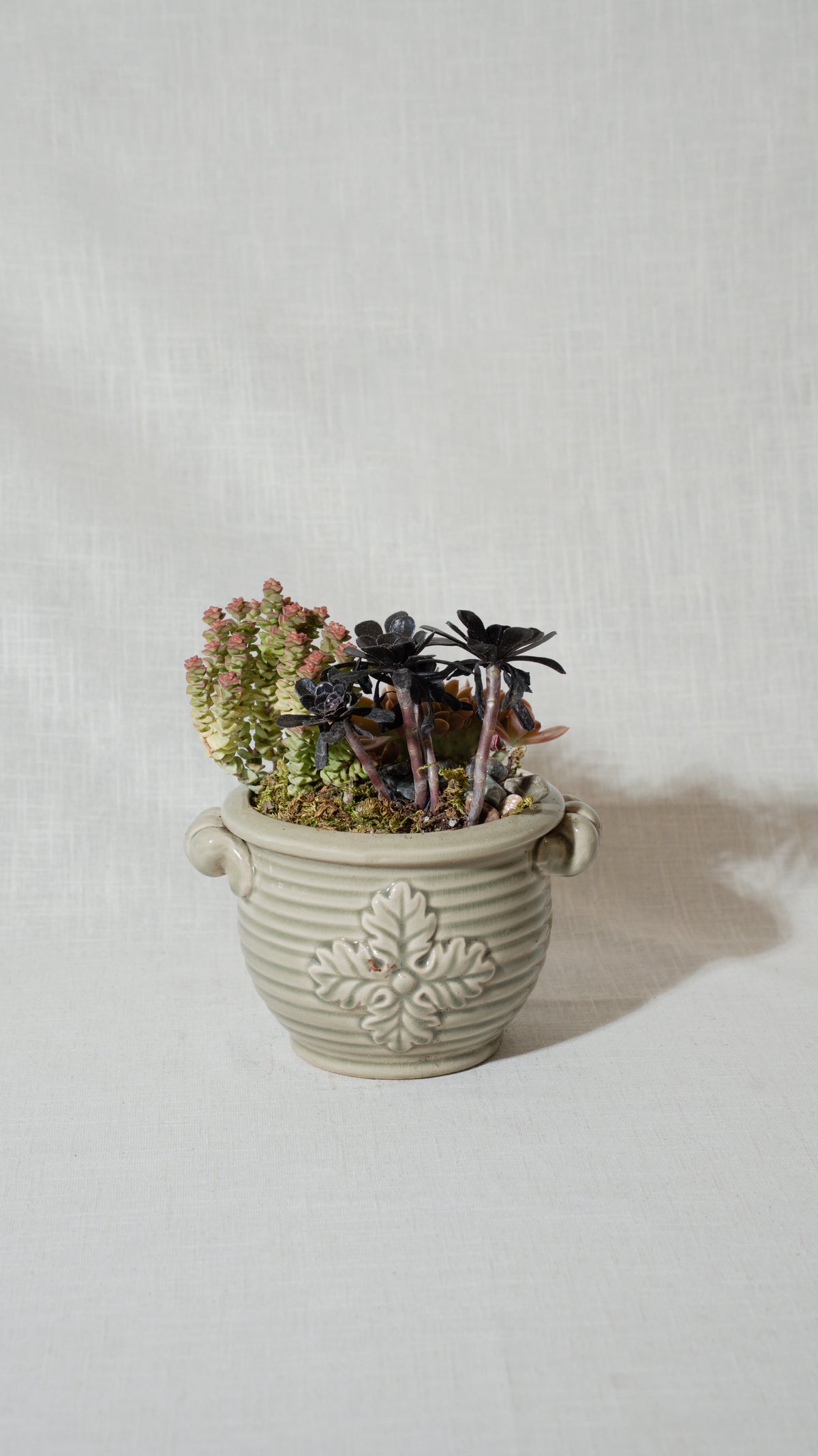 Succulent Planter  Arrangement