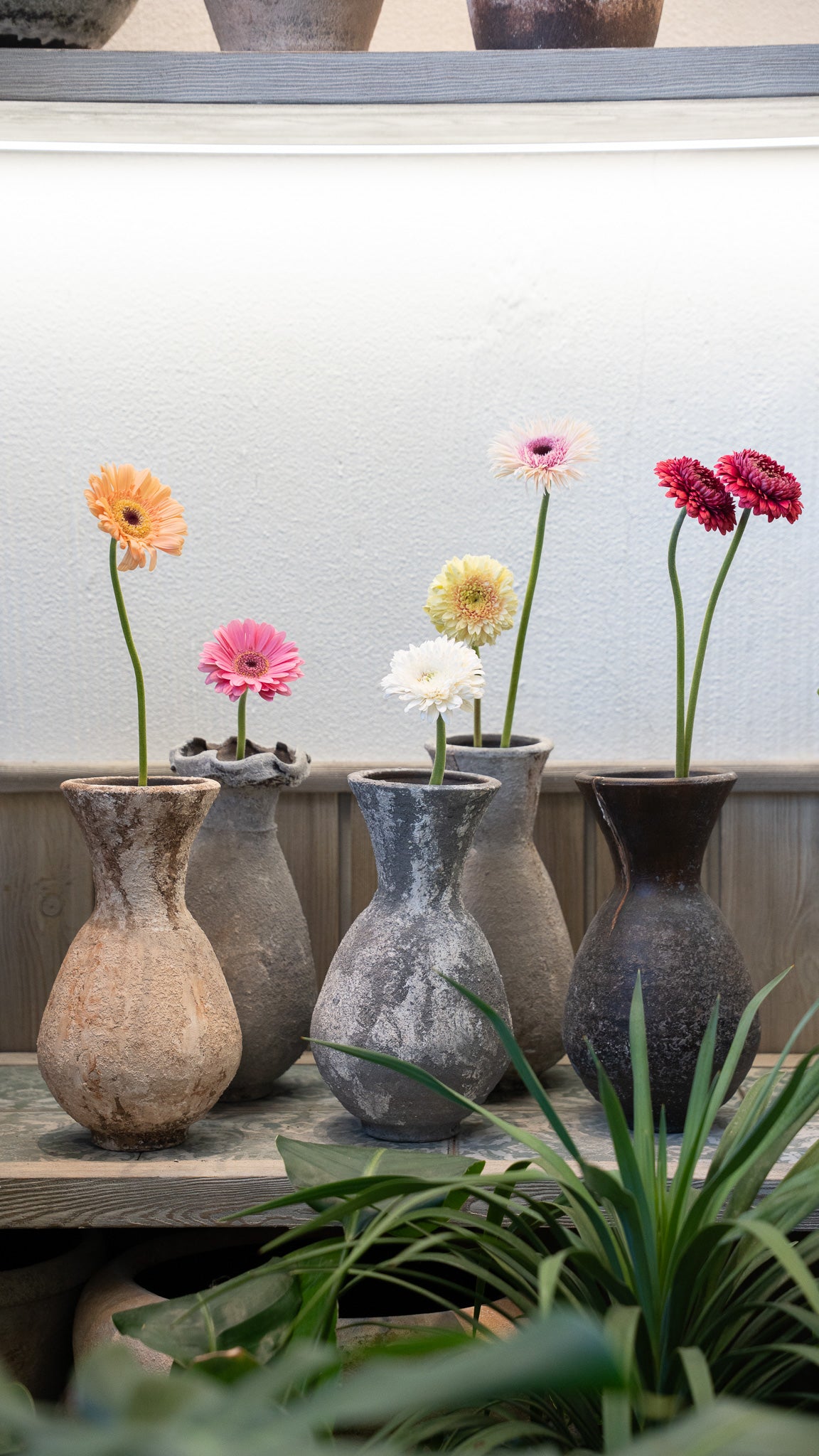 Vintage Vase in Small